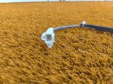 84966-42020, 8496642020 Кнопка открывания багажника Toyota RAV4 2021 фото 3