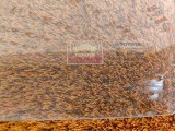 68102-0R090, 681020R090 Стекло двери переднее левое Toyota RAV4 2021 фото 4