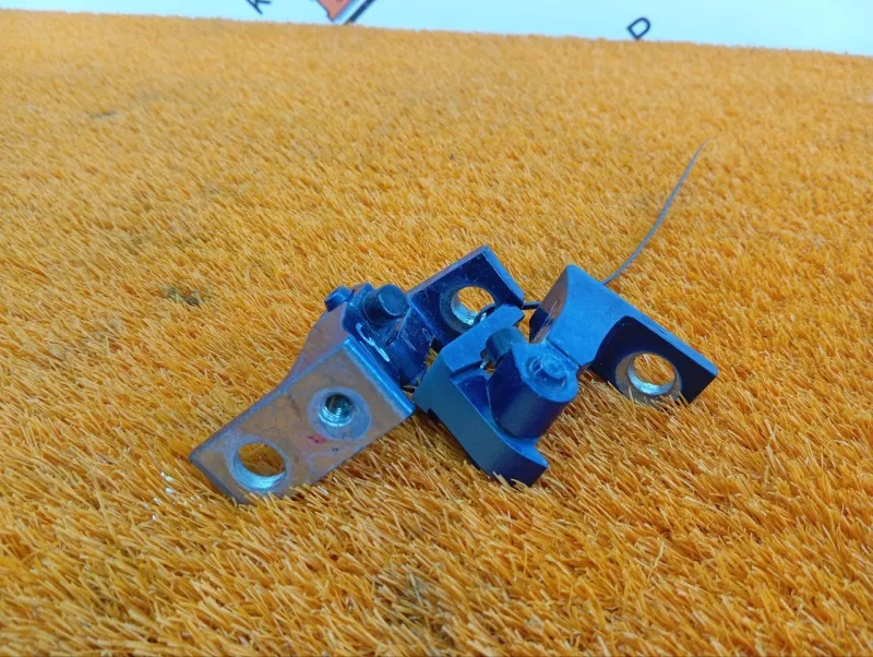 Петля двери