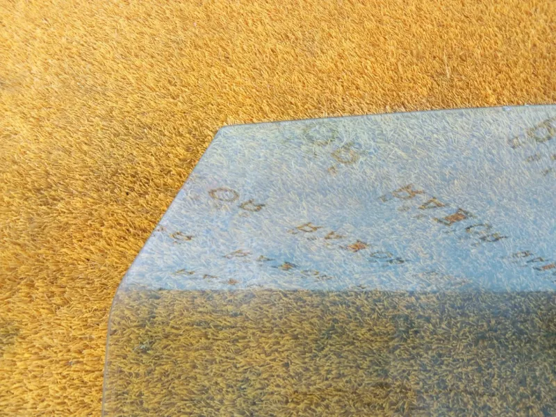 Стекло двери