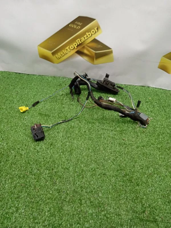 Проводка двери