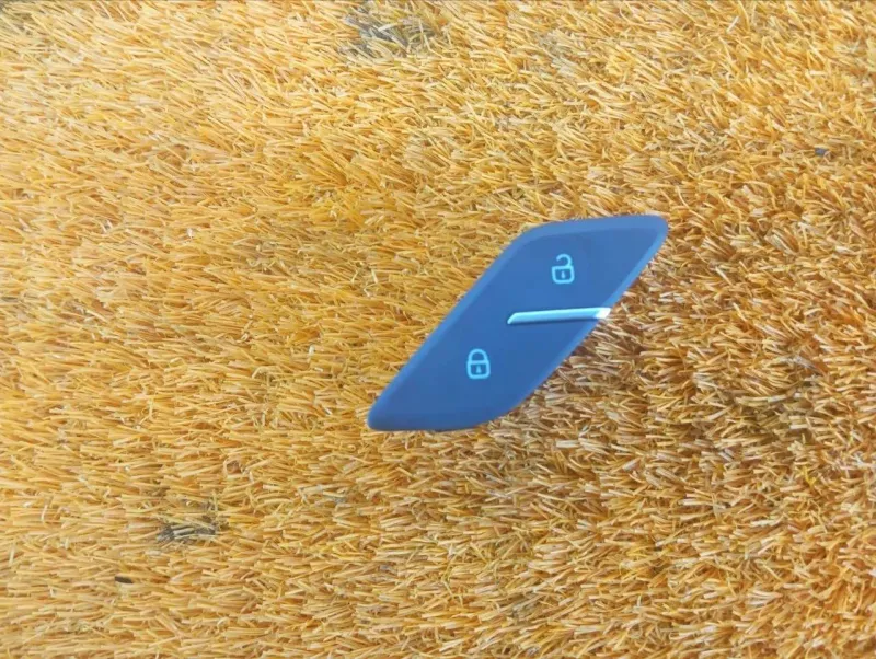 Кнопка центрального замка