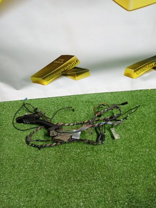 Проводка двери