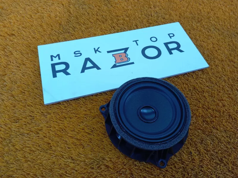 Динамик двери BMW X6 2019 65139286367 2 N57D30A, задний левый