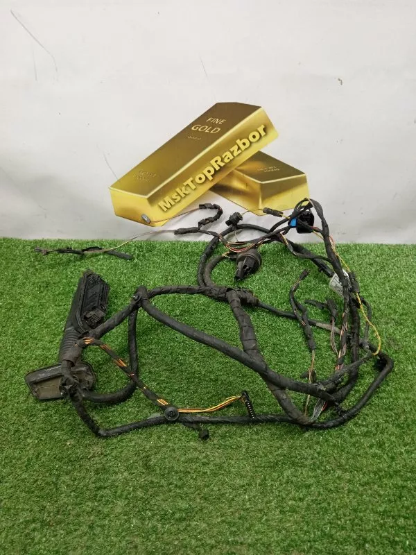 Проводка двери