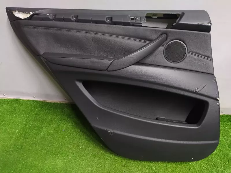 Обшивка двери BMW X5 2008 51429133581 E70, задняя левая