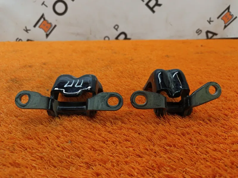 Петля двери