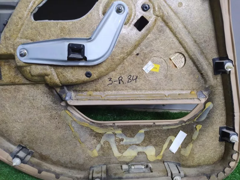 Обшивка двери BMW 5-Series 1998 51427139930 E39, задняя правая