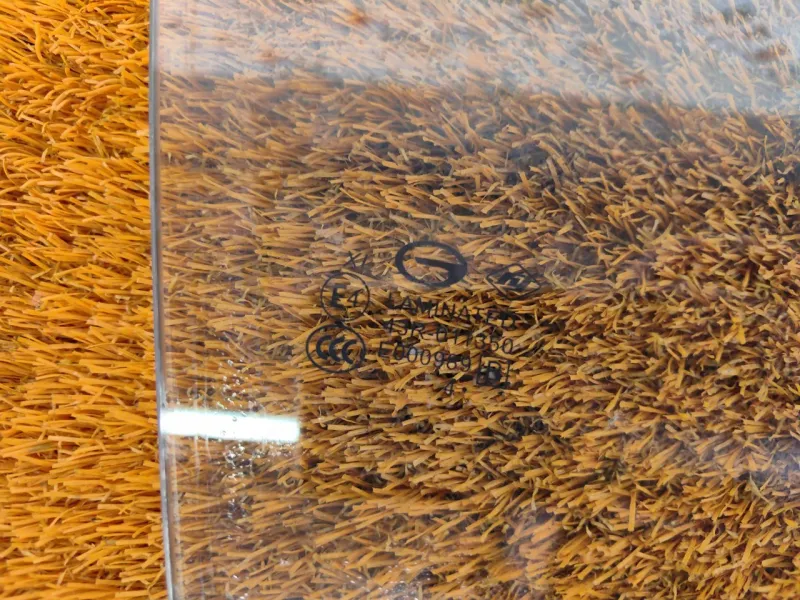 Стекло двери