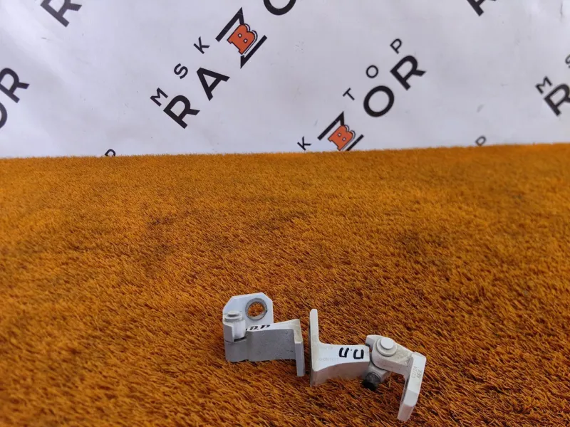 Петля двери