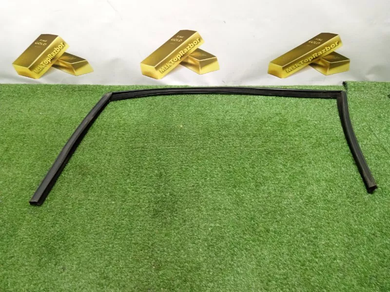 Уплотнитель стекла двери