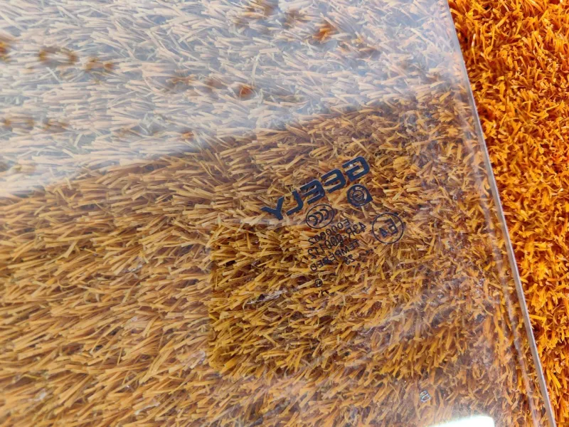 Стекло двери