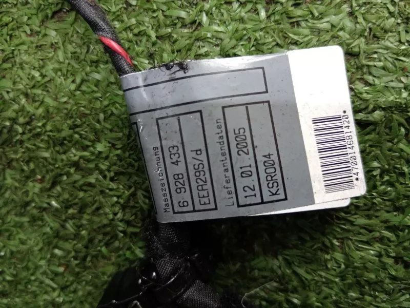 Проводка двери BMW 6-Series 2005 61126973905 E63/E64, передняя правая