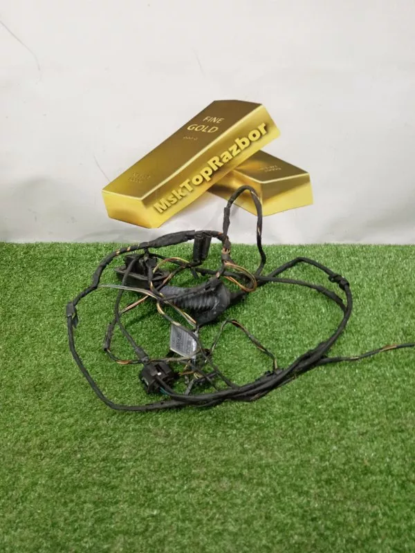 Проводка двери