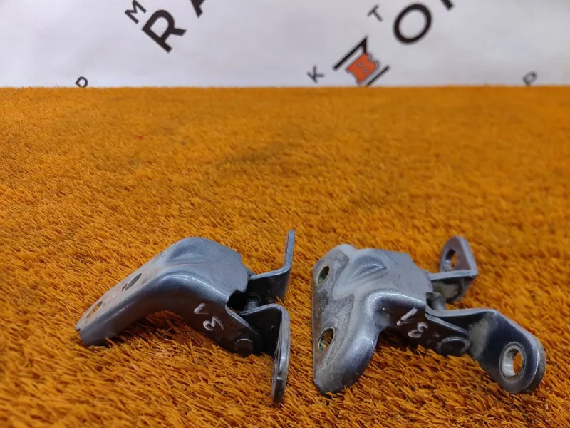 Петля двери