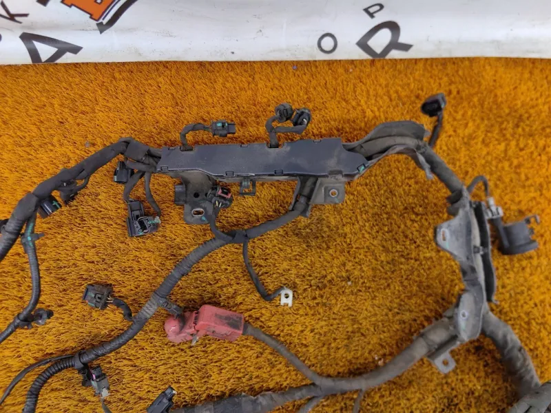 Проводка подкапотная