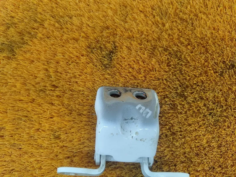 Петля двери