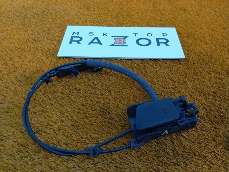 Ручка откидывания заднего сиденья BMW X3 2018 51477424731 G01 B47, левая