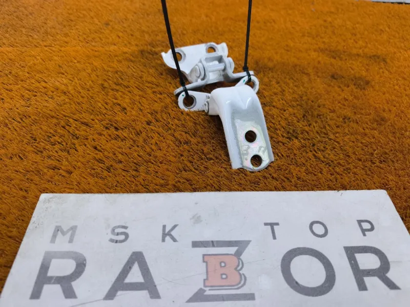 Петля двери