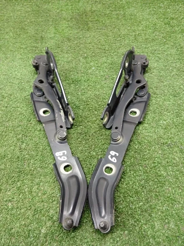 Петля двери багажника