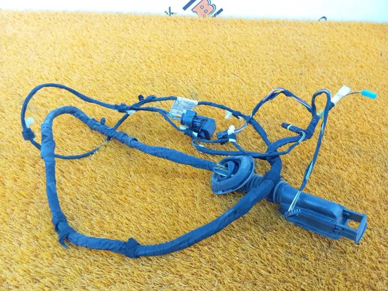 Проводка двери