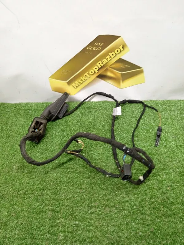 Проводка двери