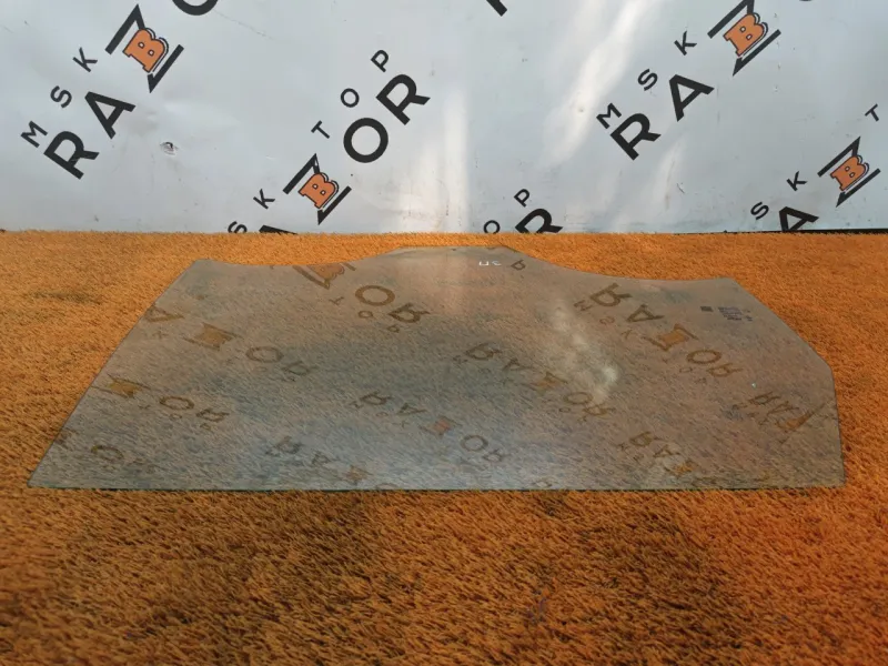 Стекло двери