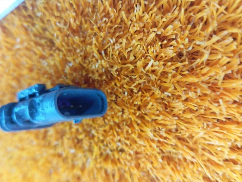 Датчик кислородный