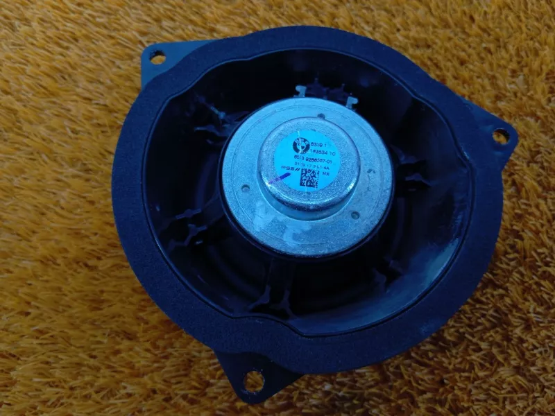 Динамик двери BMW X6 2019 65139286367 2 N57D30A, задний левый