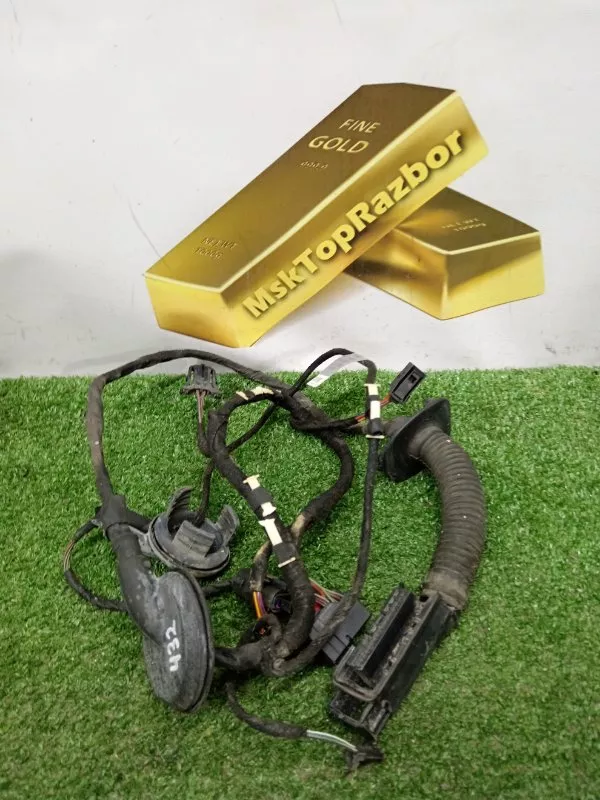 Проводка двери