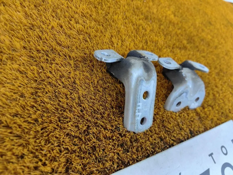 Петля двери