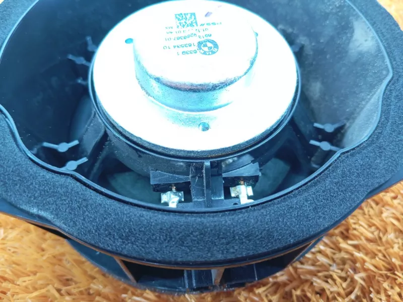 Динамик двери BMW X6 2019 65139286367 2 N57D30A, передний левый