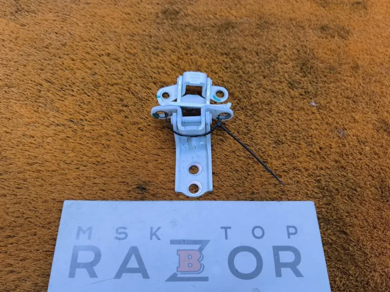 Петля двери