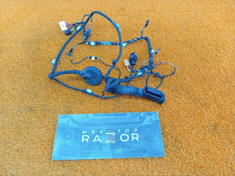 Проводка двери