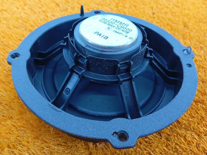 Динамик двери