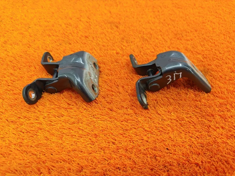 Петля двери