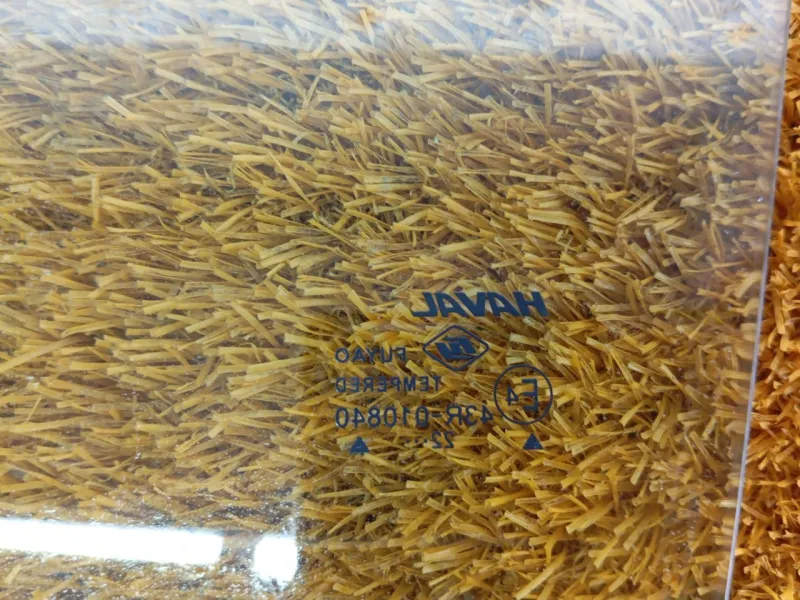 Стекло двери