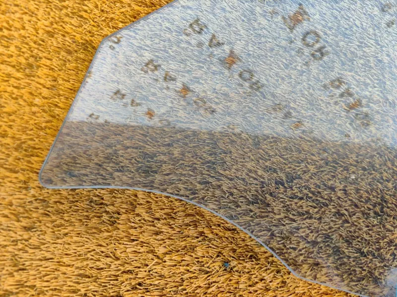 Стекло двери