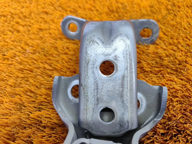 Петля двери