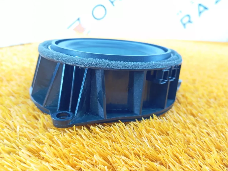 Динамик двери BMW X6 2019 65139286367 2 N57D30A, задний левый