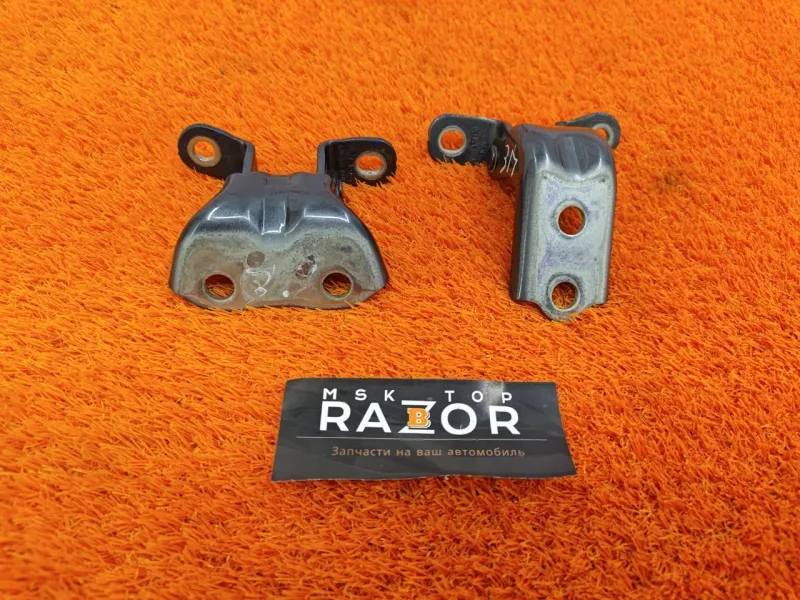 Петля двери