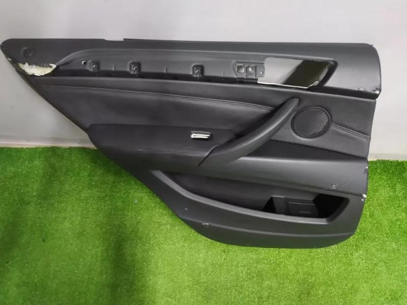 Обшивка двери BMW X5 2008 51429133581 E70, задняя левая