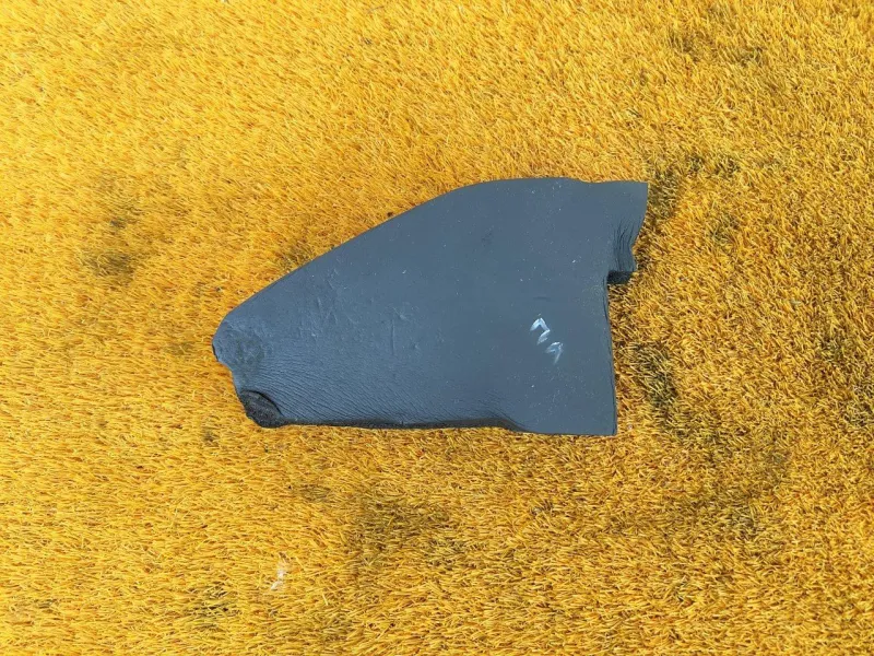 Пыльник крыла