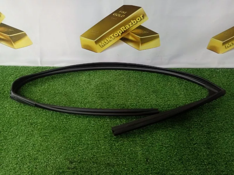 Уплотнитель стекла двери