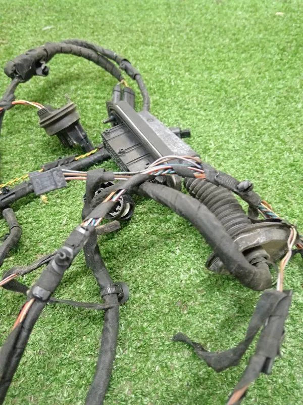 Проводка двери