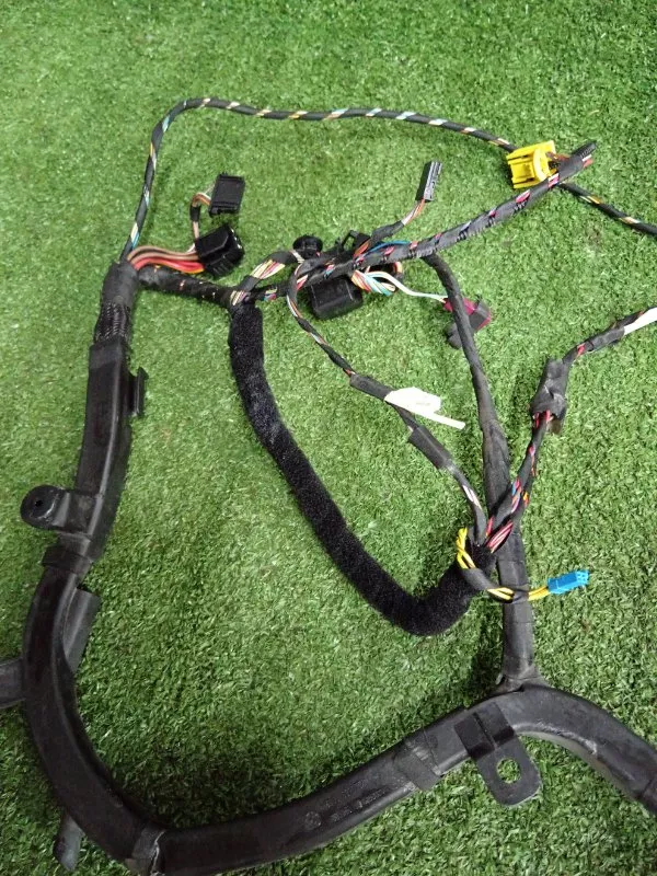 Проводка двери BMW 6-Series 2005 61126973905 E63/E64, передняя правая