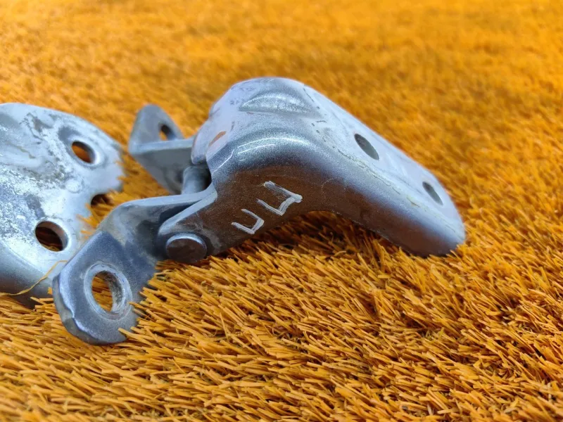 Петля двери