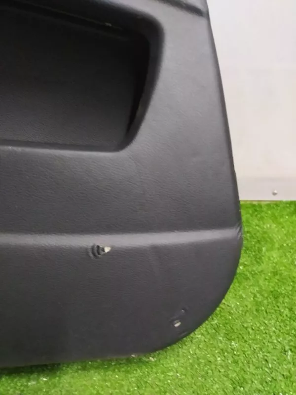 Обшивка двери BMW X5 2007 51427244415 E70, задняя левая