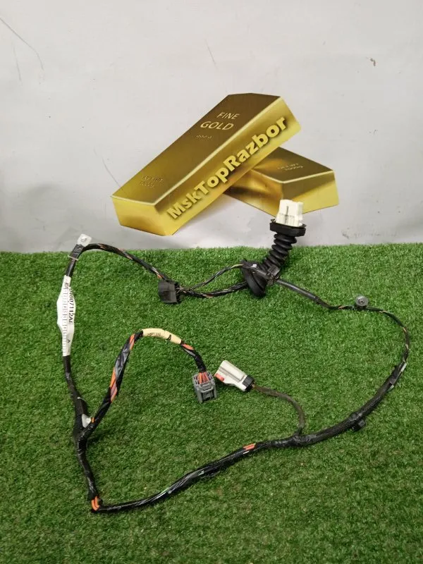 Проводка двери