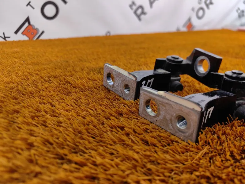 Петля двери